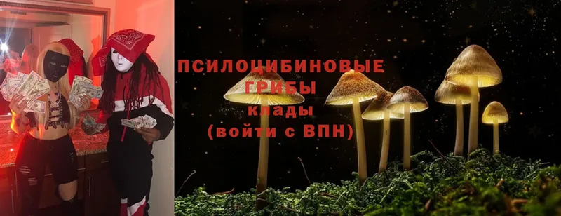 Галлюциногенные грибы Cubensis  Кудрово 